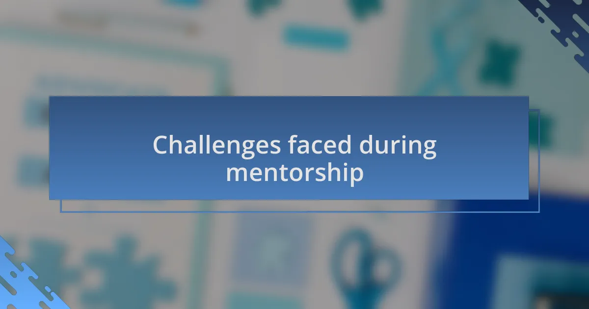 Challenges faced during mentorship
