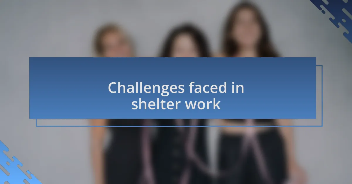 Challenges faced in shelter work
