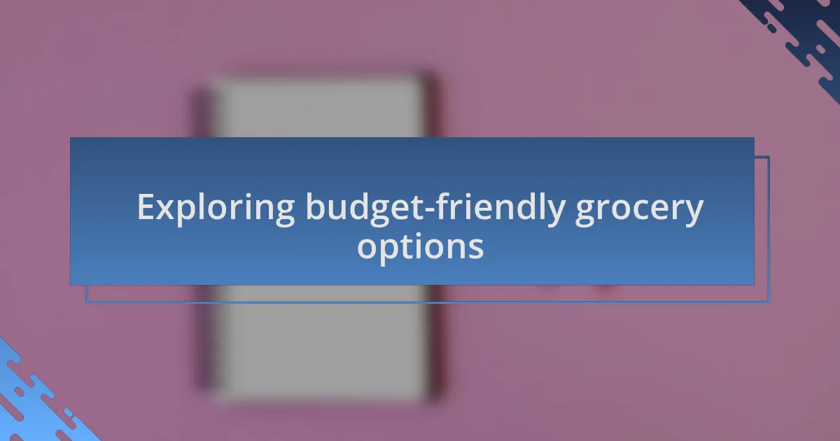 Exploring budget-friendly grocery options