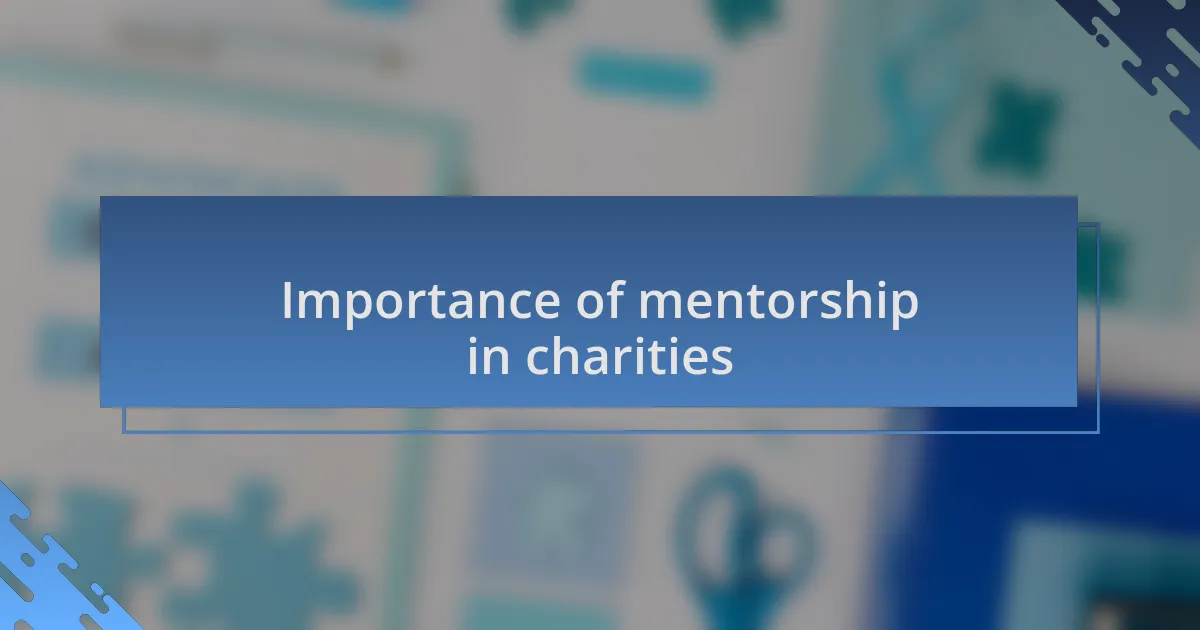 Importance of mentorship in charities