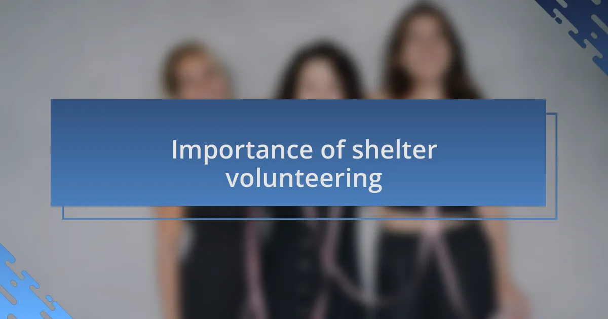 Importance of shelter volunteering