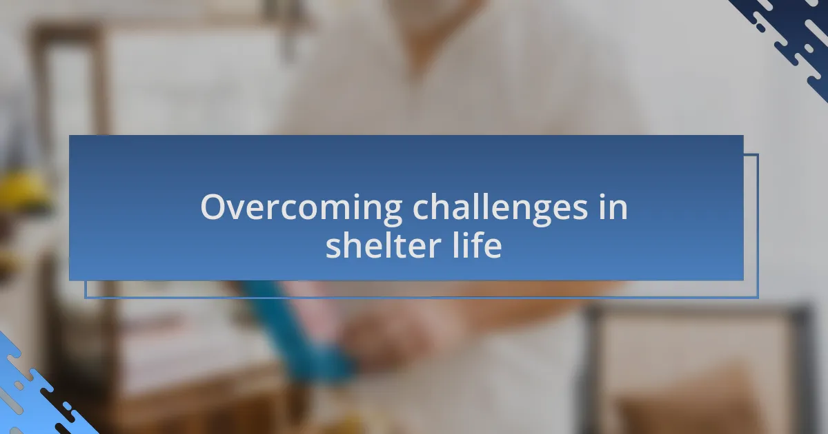 Overcoming challenges in shelter life