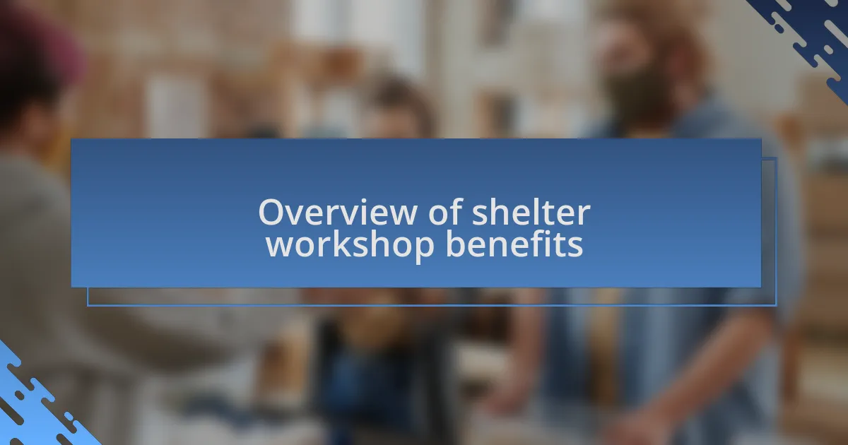 Overview of shelter workshop benefits