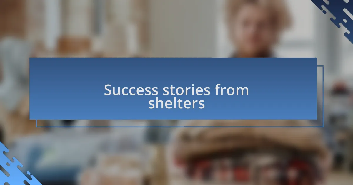 Success stories from shelters